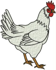 huhn zeichnungen