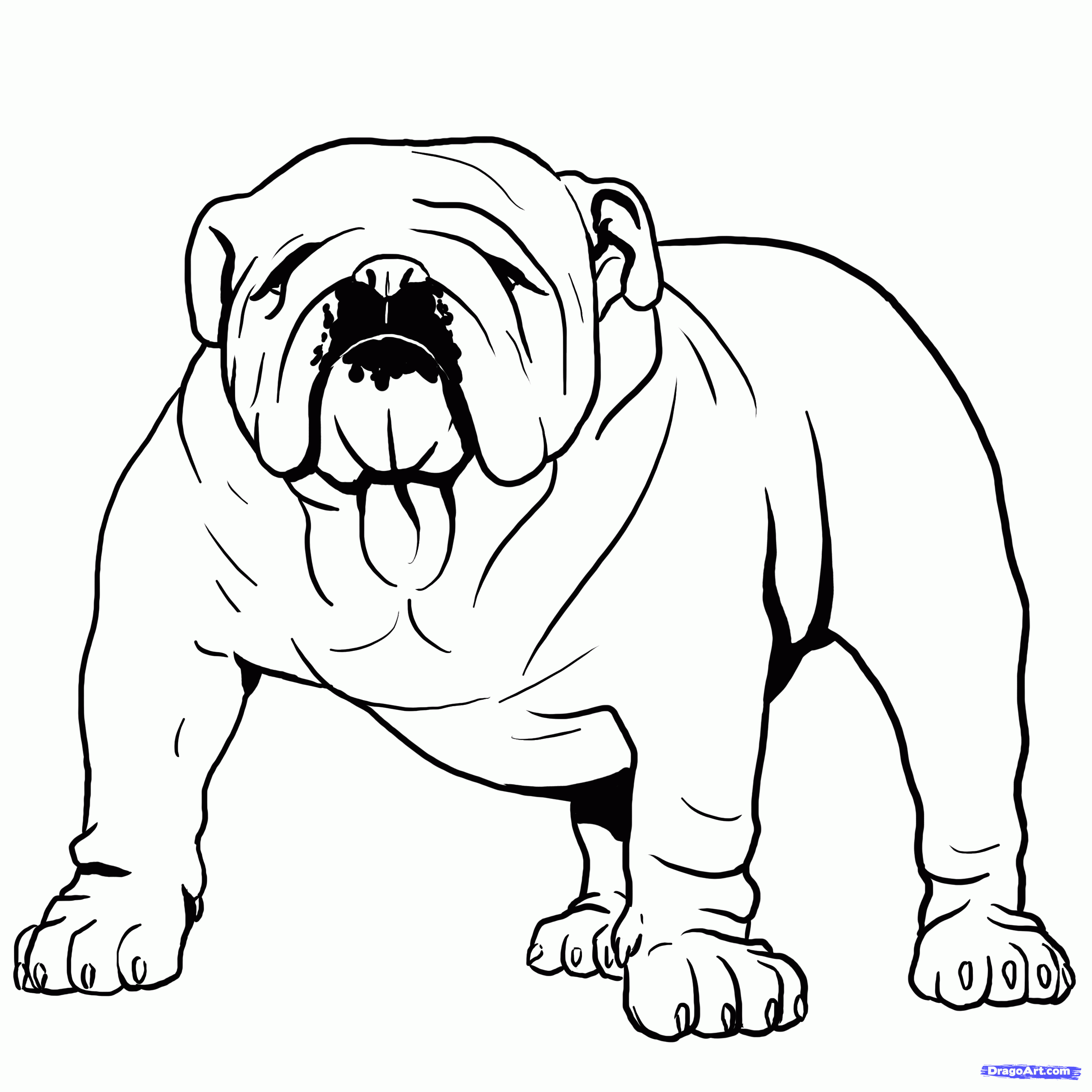 How To Draw A Bulldog, English Bulldog, Step by Step, Drawing Guide, by