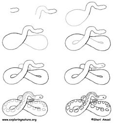 Einen Schlangenkopf zeichnen-dekoking-com-6 | Zeichnen | Malen