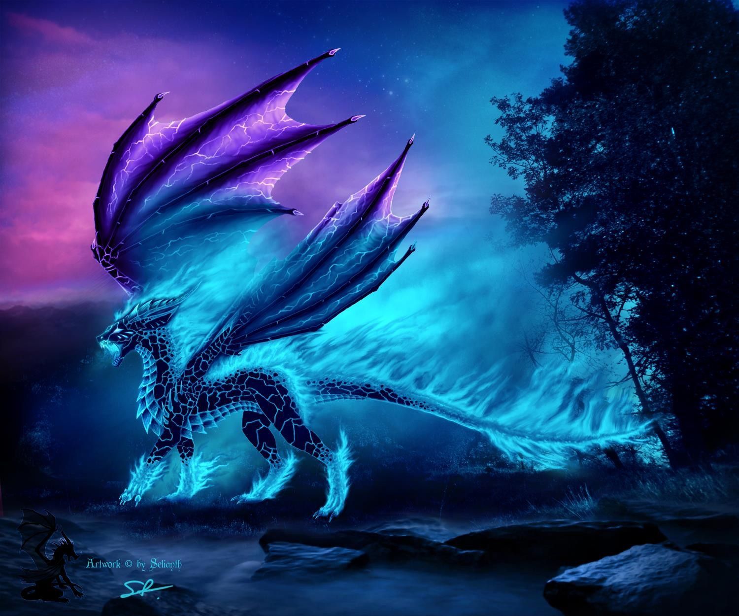 fantasie drachen