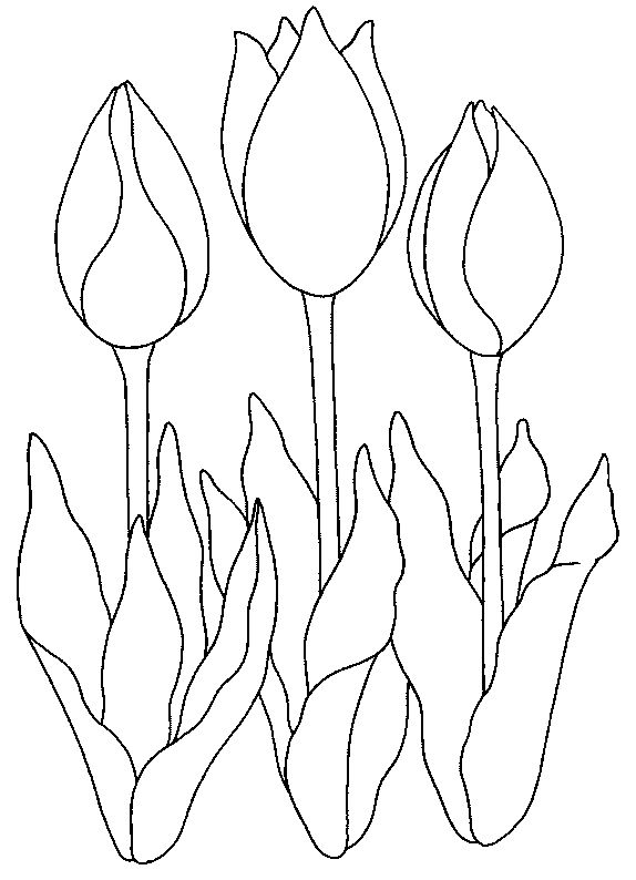 bastelvorlagen tulpen zum ausdrucken