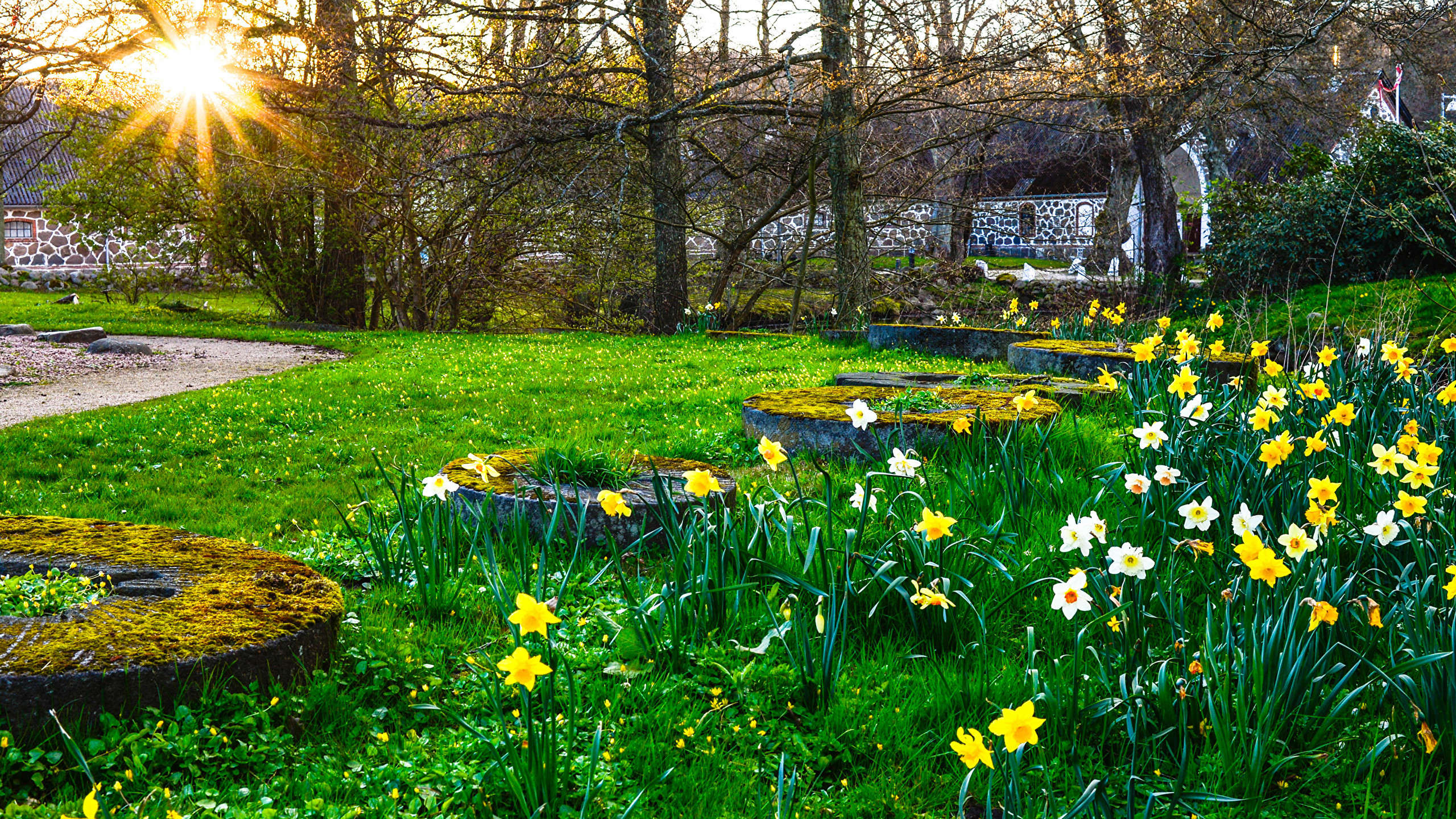 Die 61+ Besten Schöne Hintergrundbilder der Natur und des Frühlings