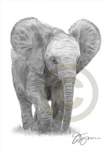 elefant malen