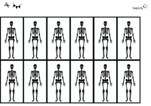 bastelbogen skelett zum ausschneiden