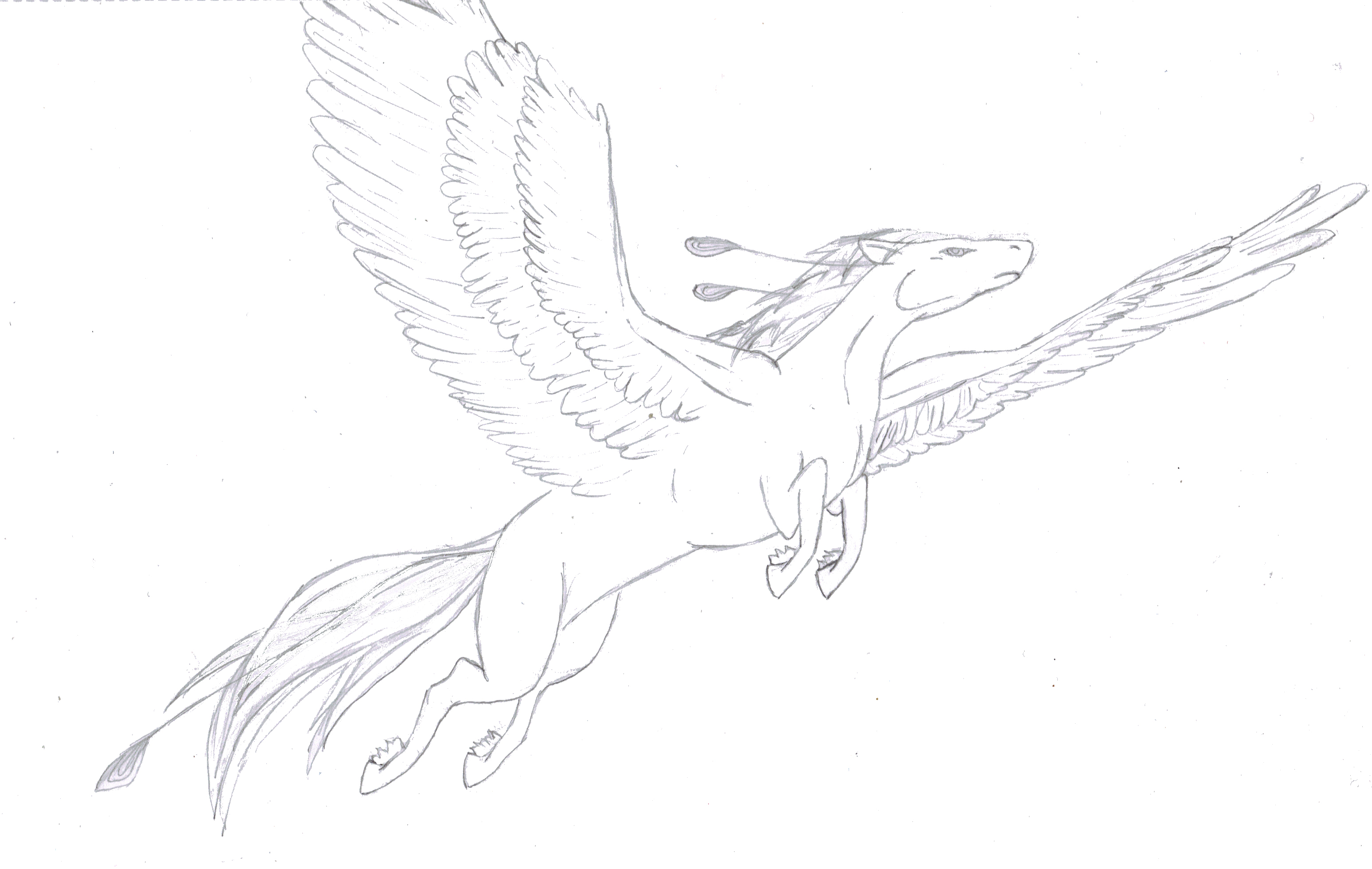 Pegasus- Sketch by Shameless-Sacrifice on DeviantArt