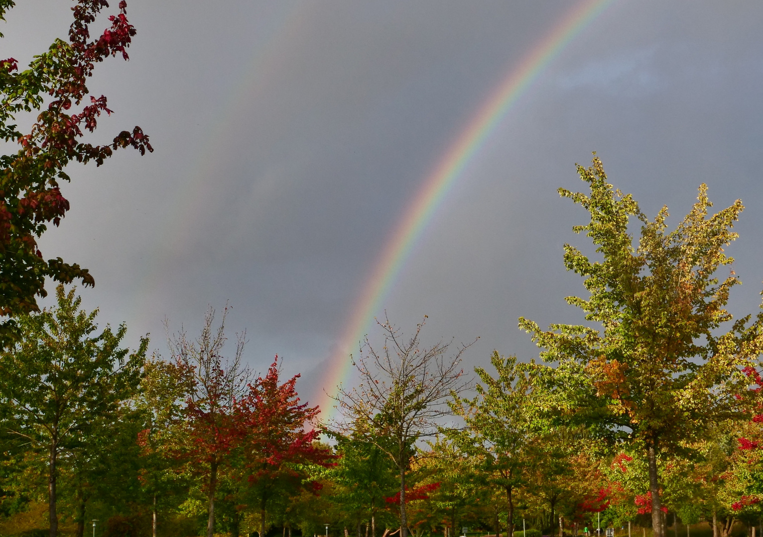 bild vom regenbogen