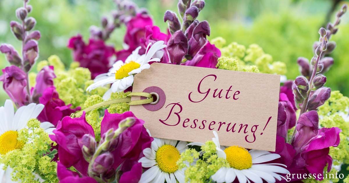 gute besserung fee