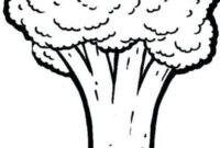 broccoli coloring pages