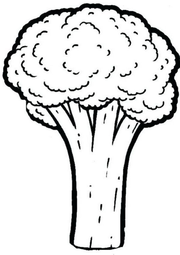 broccoli coloring pages