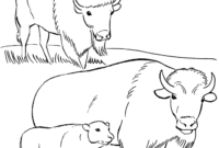 yellowstone coloring page