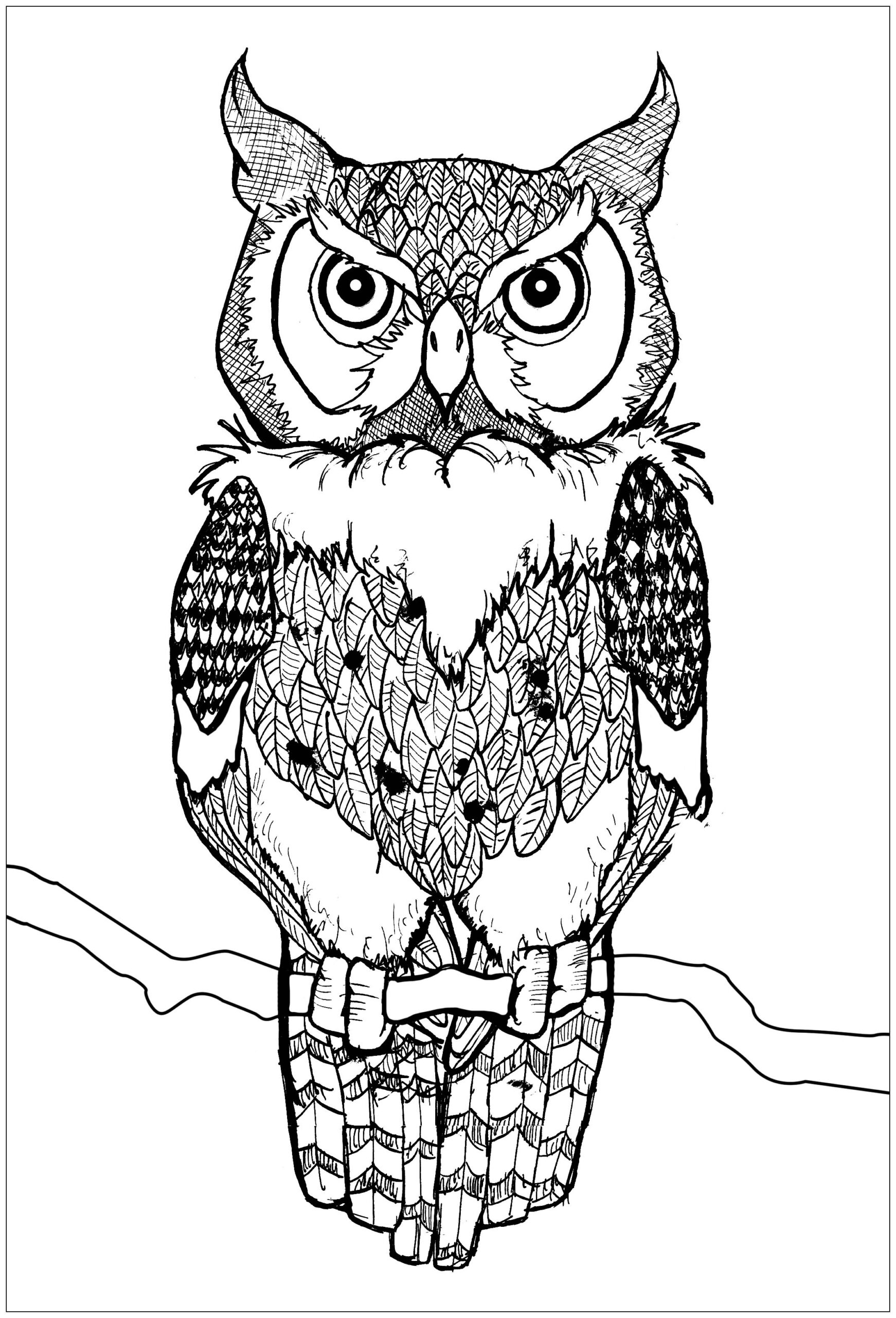 owl coloring pages for kids