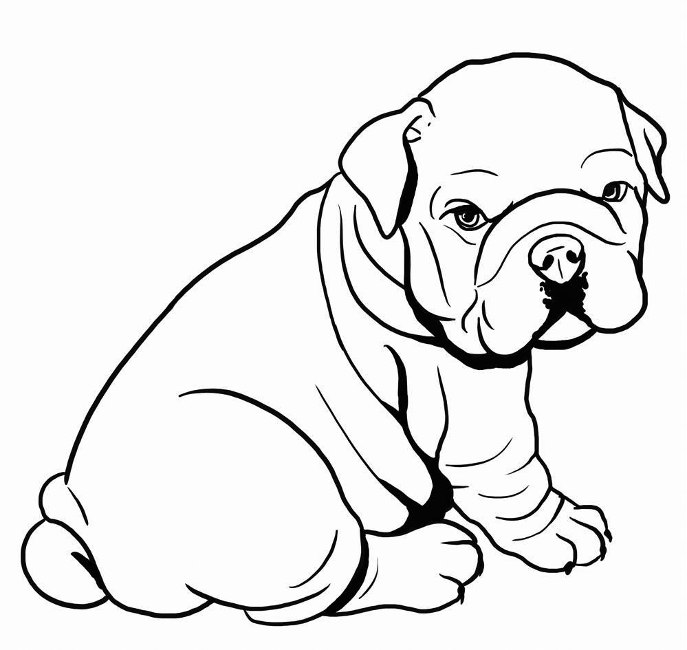 Bulldog Coloring Pages - Best Coloring Pages For Kids | Dog coloring