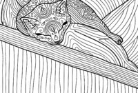 pillow cat coloring page