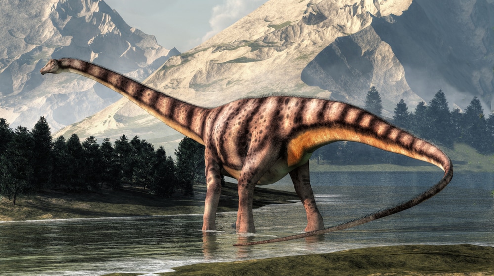 Dinosaurier-Arten: 10+10 Dinosaurier & ihre Merkmale (+ Bilder)