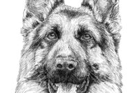 german shepherd dog coloring pages