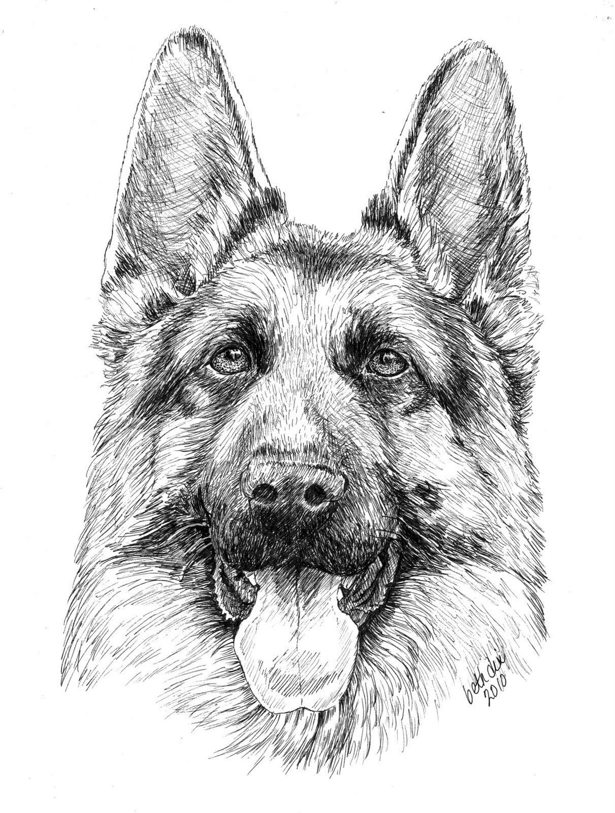 german shepherd dog coloring pages