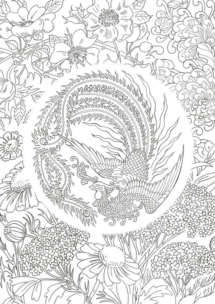 phoenix coloring pages for adults