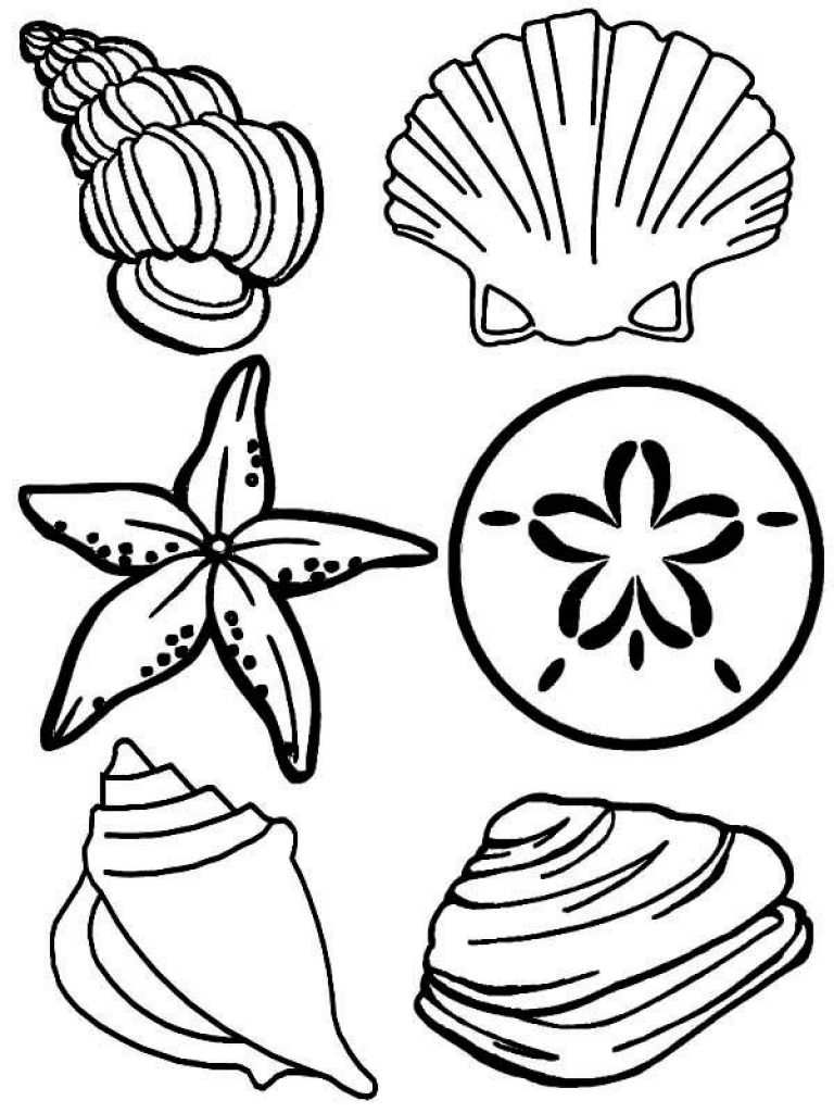 coloring pages sea shells