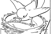 bird in nest coloring page