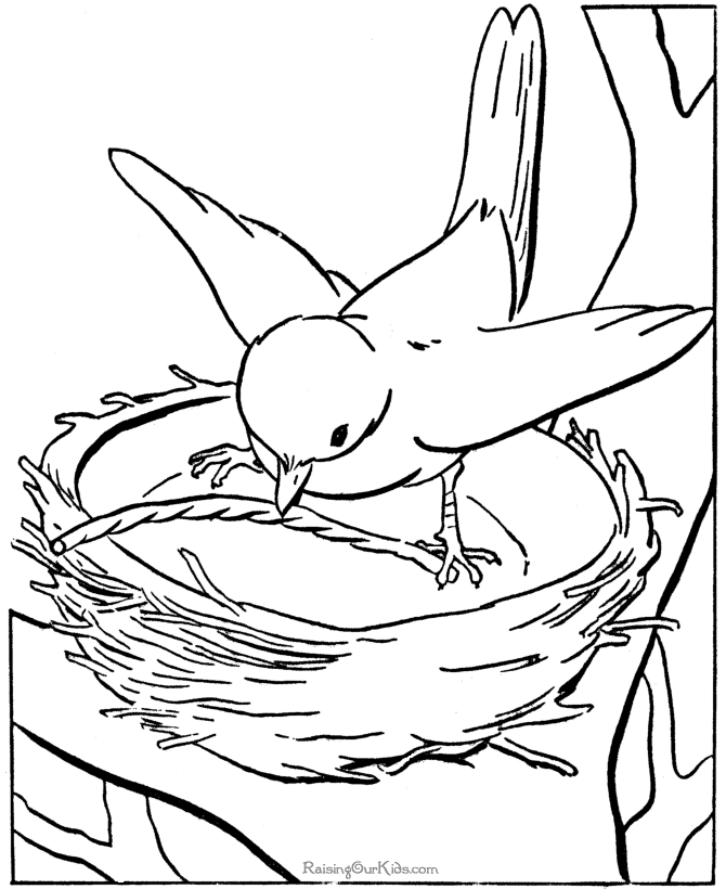 bird in nest coloring page