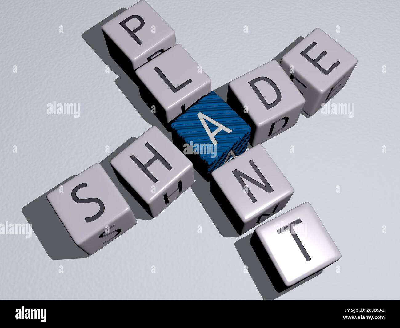 Schatten Pflanzen Konzept Stockfotos und -bilder Kaufen - Alamy