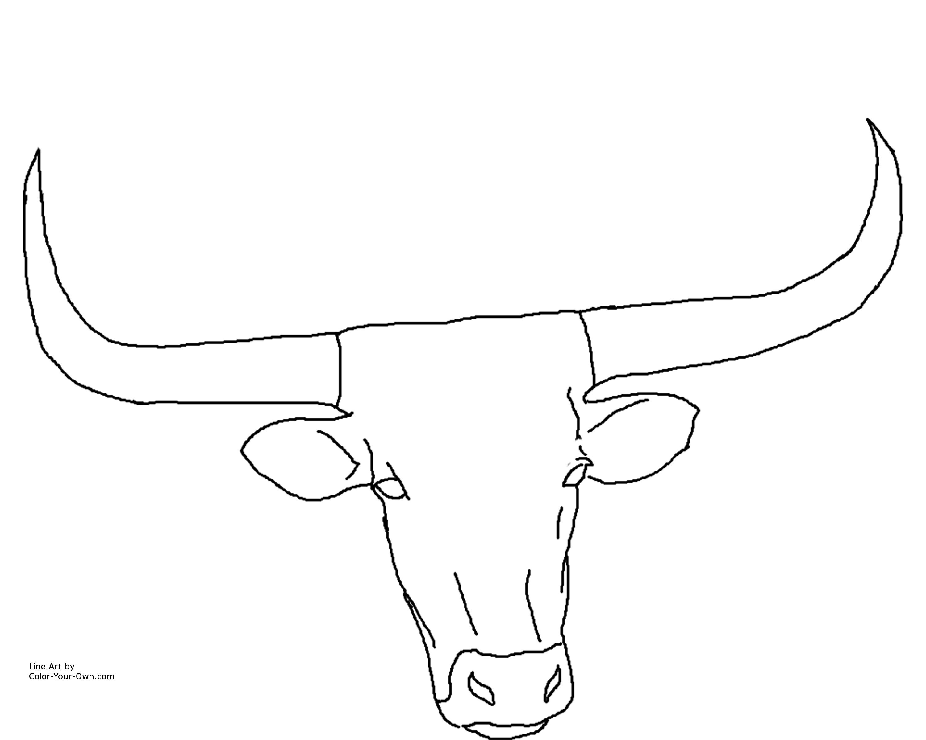 Longhorn Bull Drawing at GetDrawings | Free download