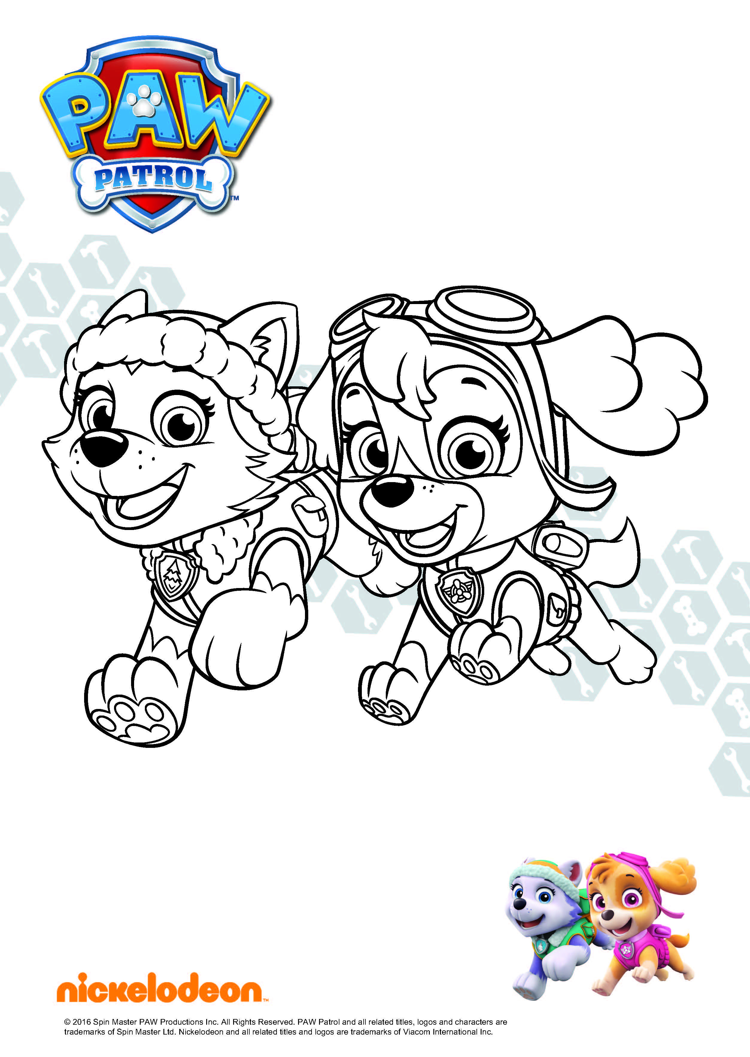 20 Besten Paw Patrol Skye Ausmalbilder – Beste Wohnkultur, Bastelideen