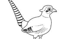 pheasant coloring page