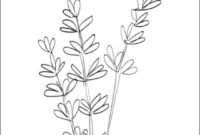 lavender coloring page