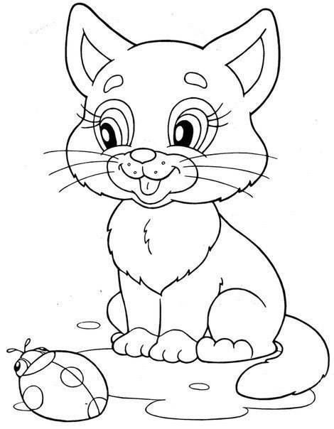 unicorn kitten coloring page