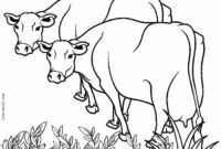 coloring pages of cows