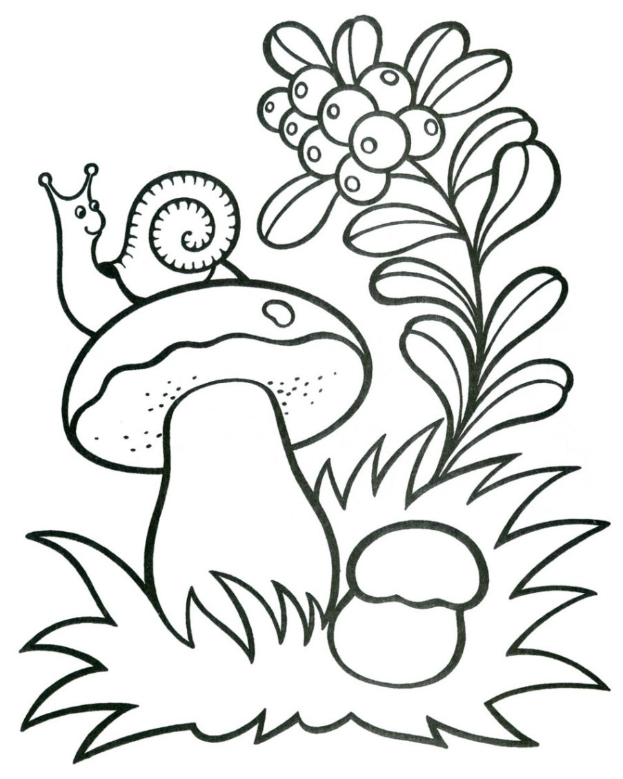 free mushroom coloring pages