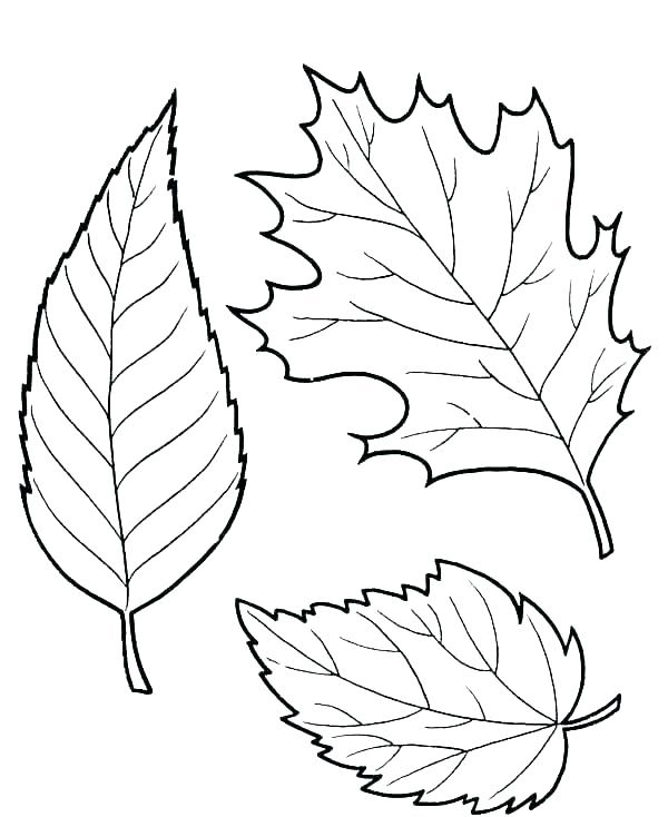 fall leaves coloring pages printable