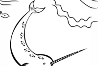 coloring pages narwhal