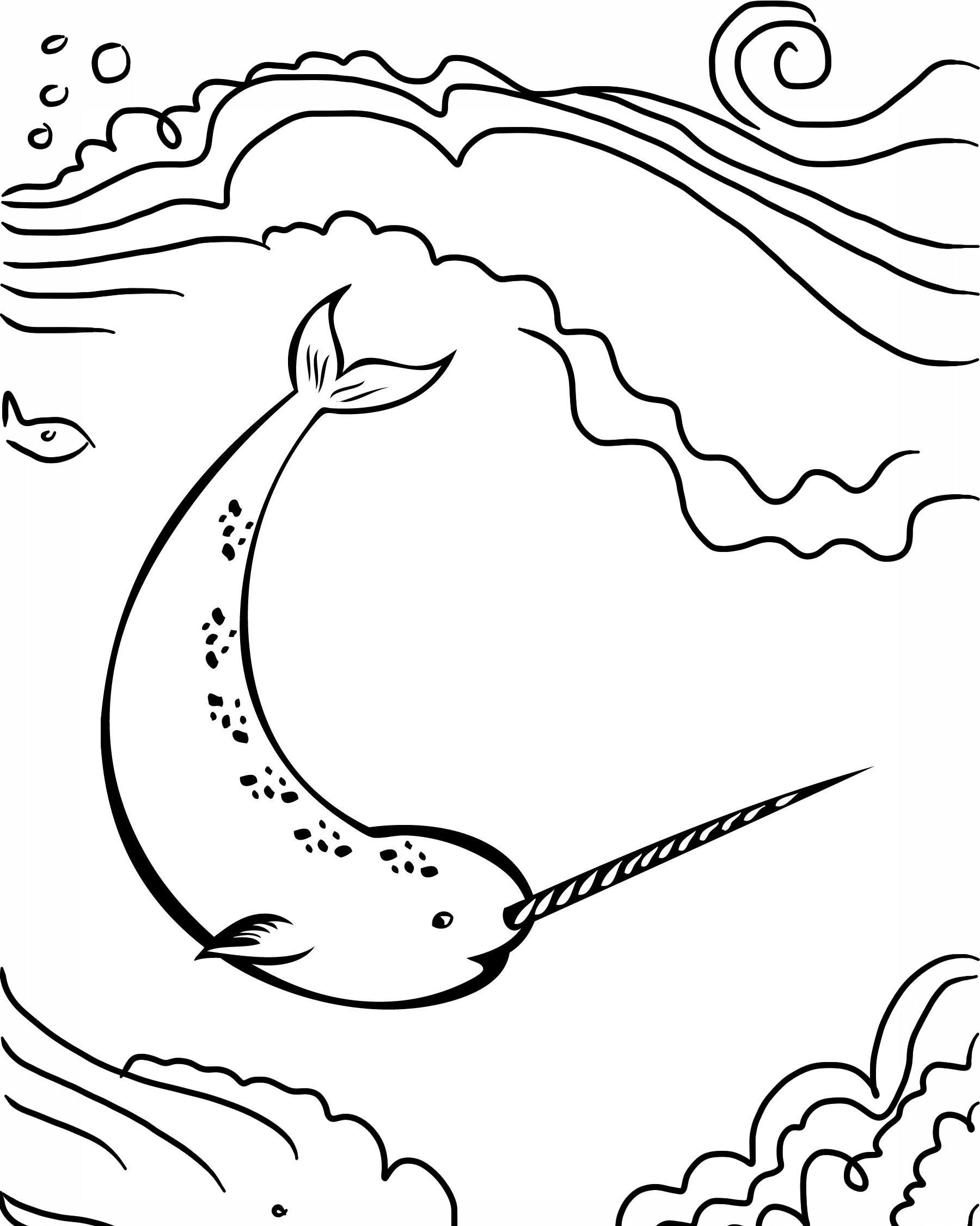 coloring pages narwhal