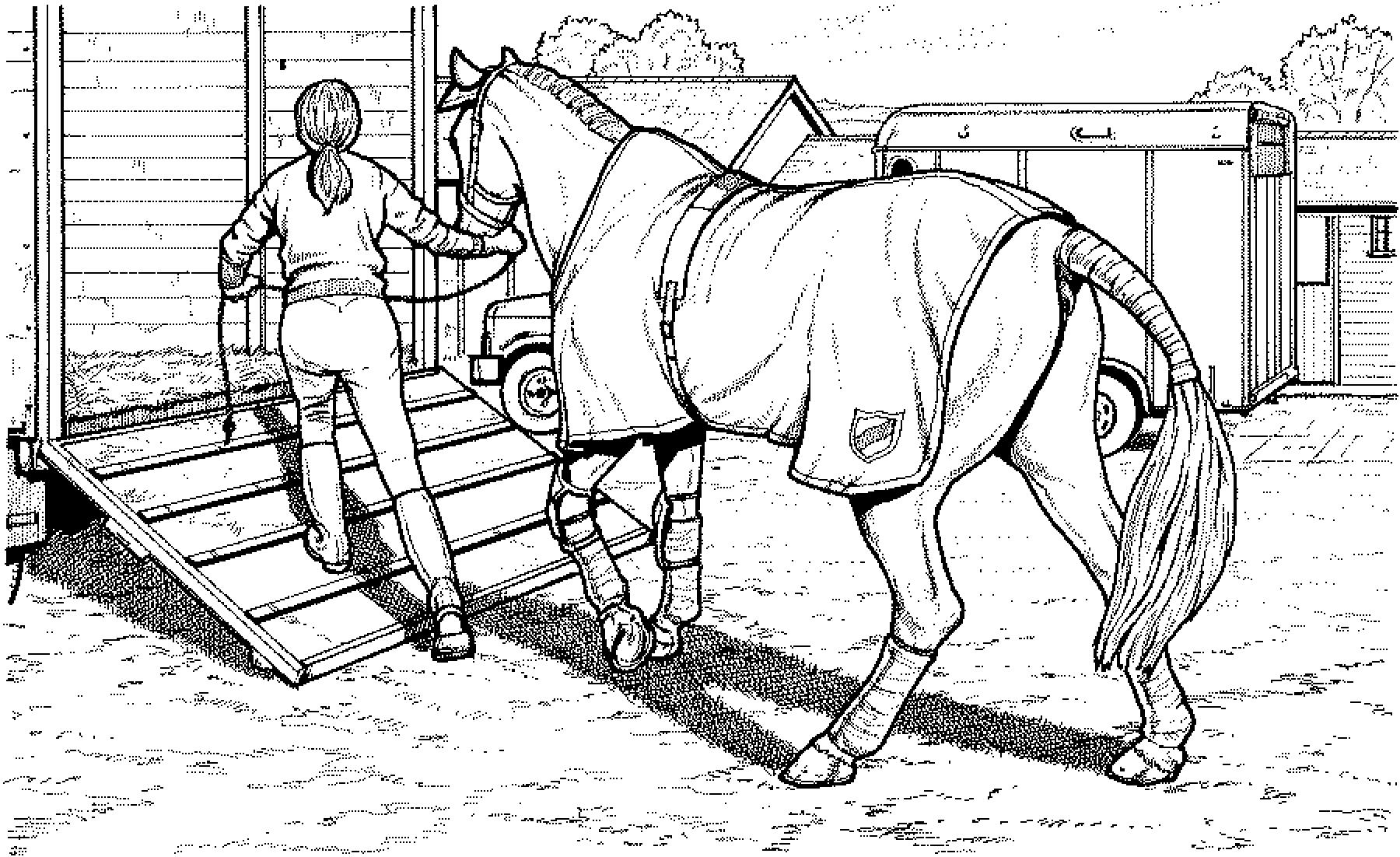 Horse coloring pages, Farm animal coloring pages, Coloring pages