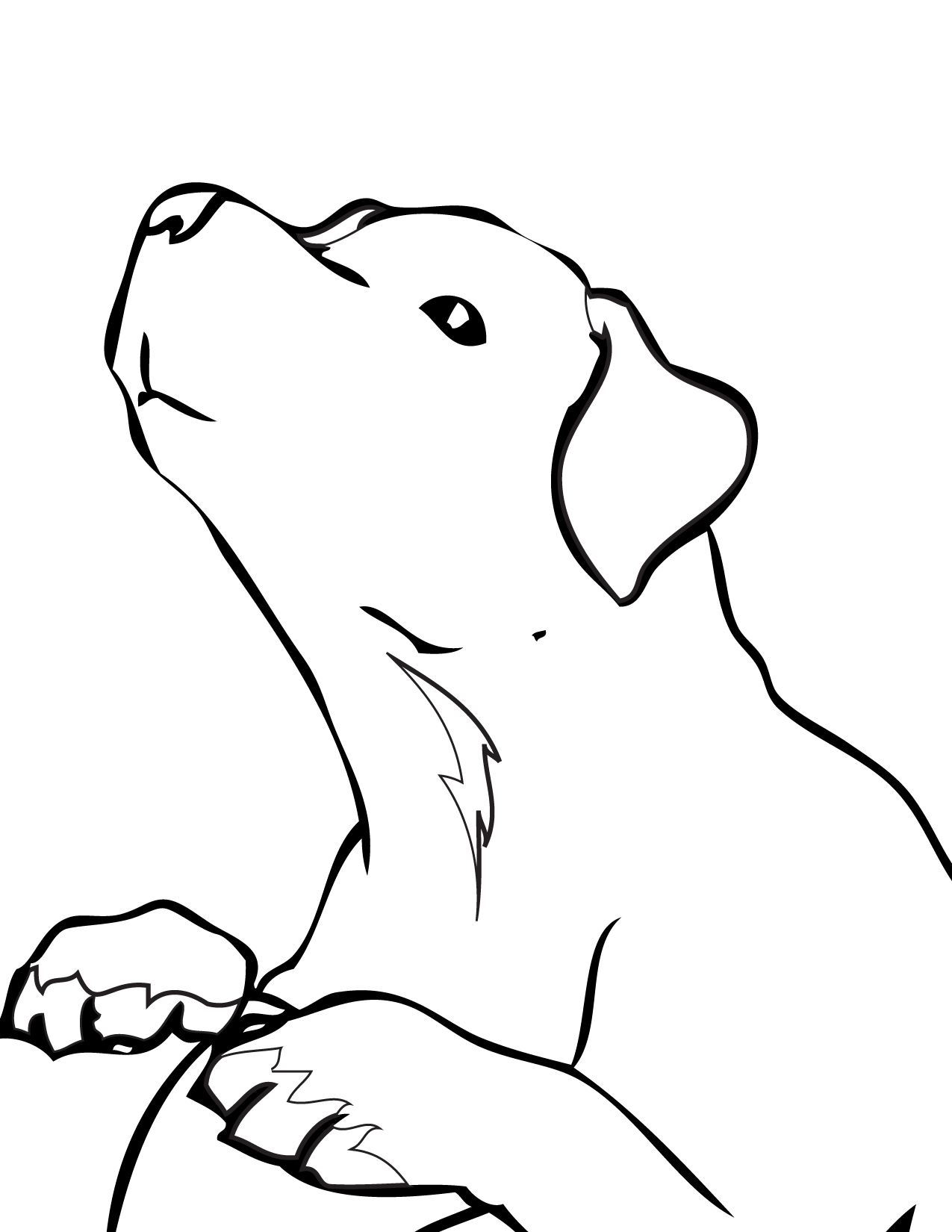 labrador coloring pages