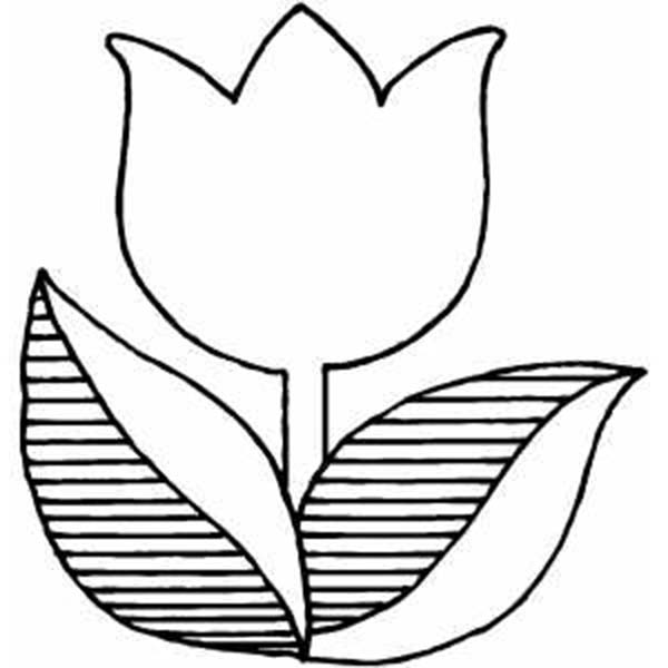 simple tulip coloring page