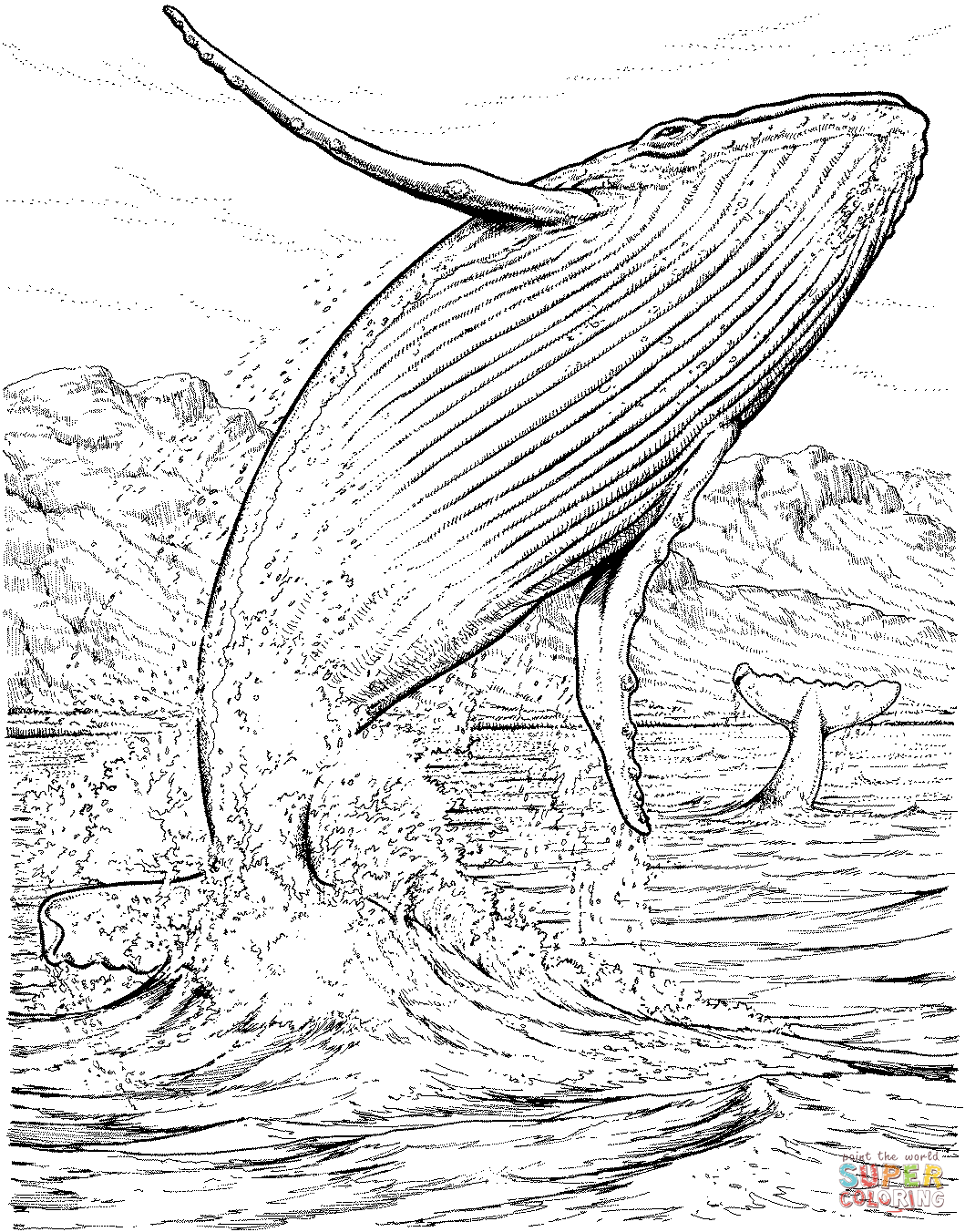 realistic whale coloring pages