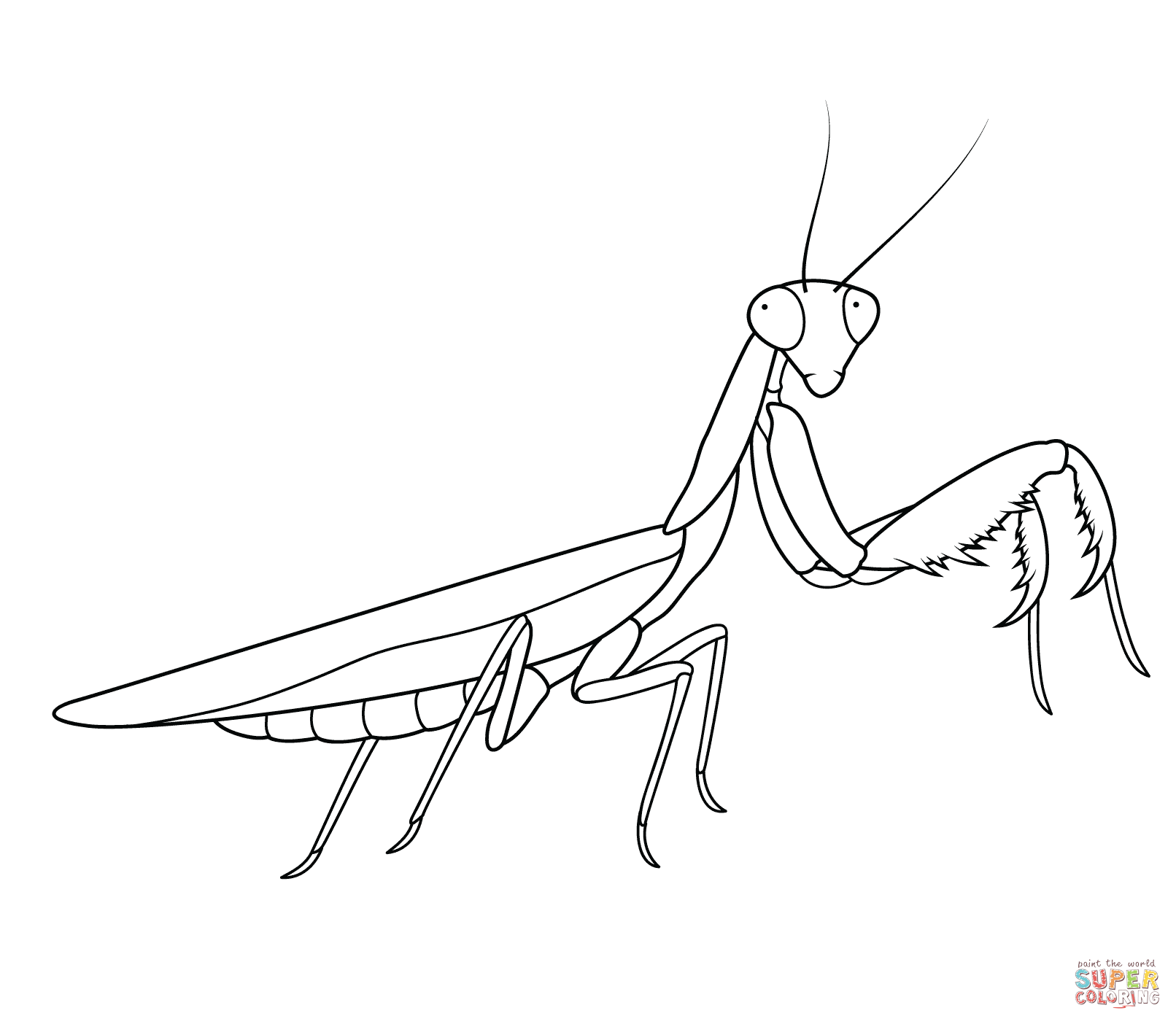 praying mantis coloring pages