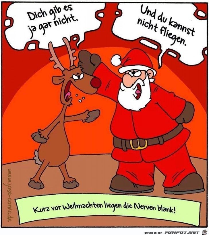 vorweihnachtszeit bilder lustig