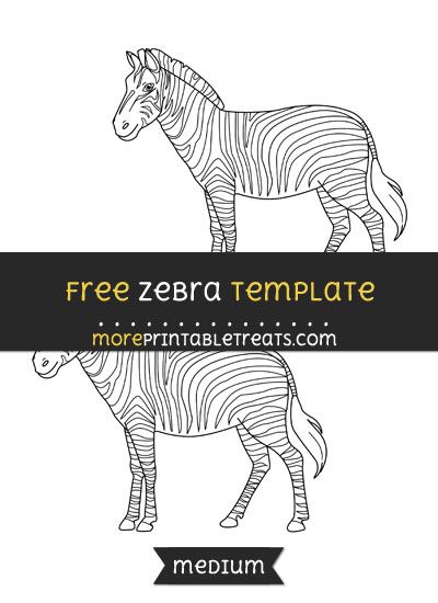 zebra vorlage