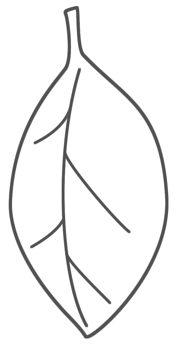 simple leaf coloring pages