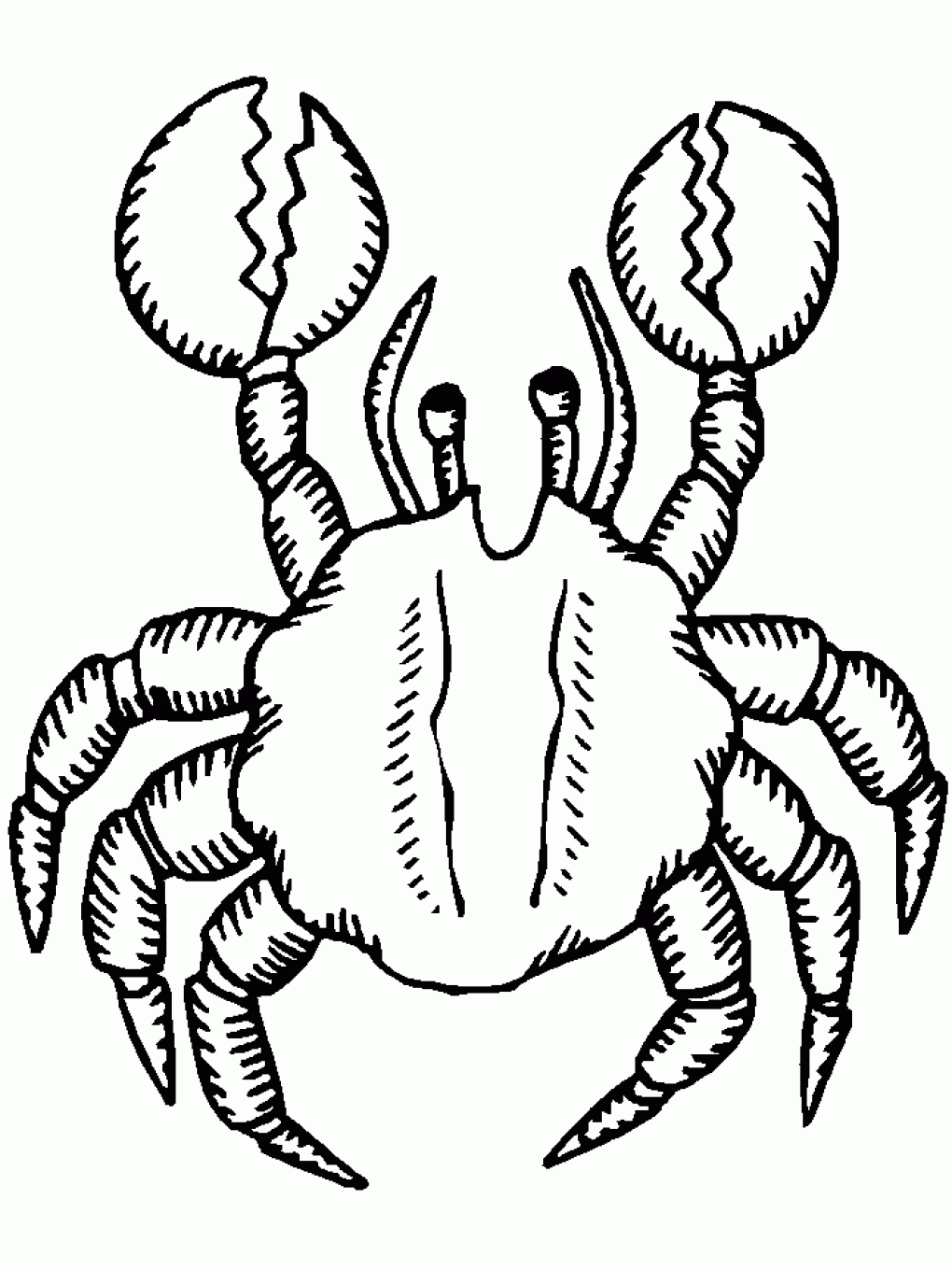 crab coloring pages