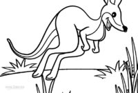 kangaroo coloring page free