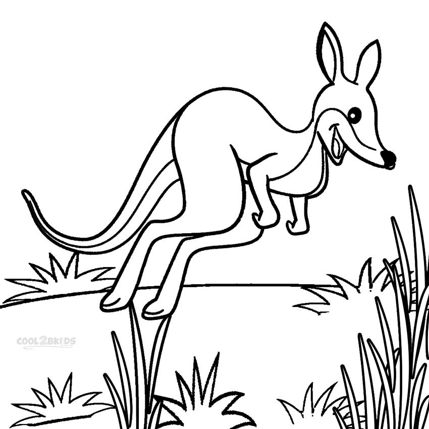 kangaroo coloring page free