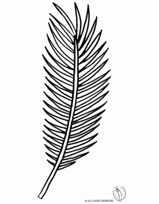 palm branch coloring page