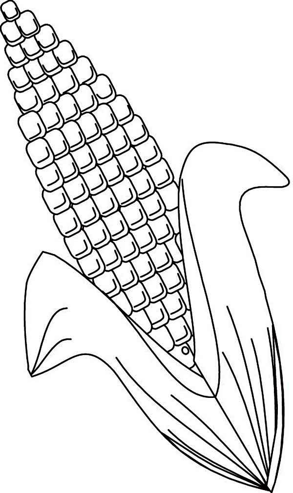 corn coloring page