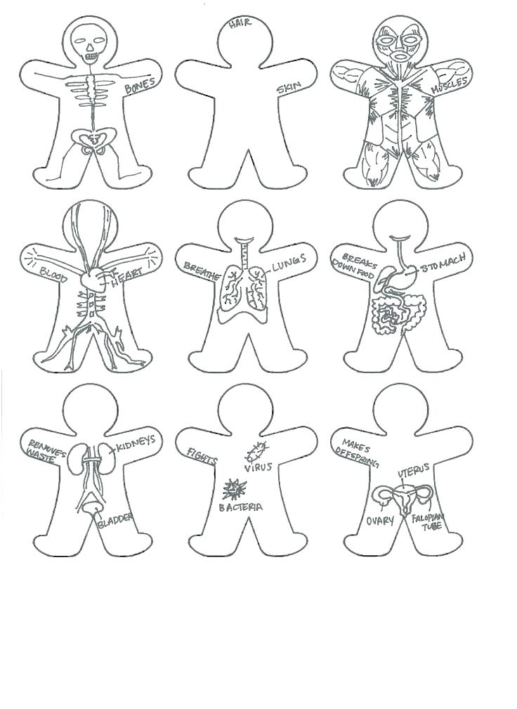 preschool body parts coloring pages