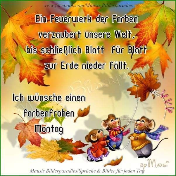 lustige herbstbilder kostenlos